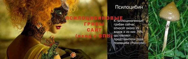 гидропоника Богородицк