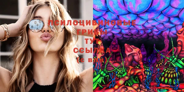 мескалин Богданович