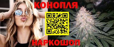 гашик Кулебаки