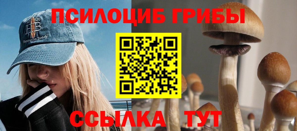 Галлюциногенные грибы Psilocybe Губкинский